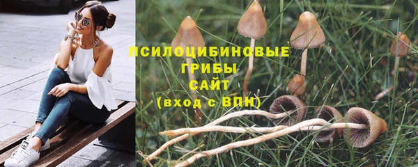твердый Новодвинск