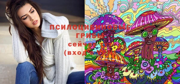 круглые Алексеевка