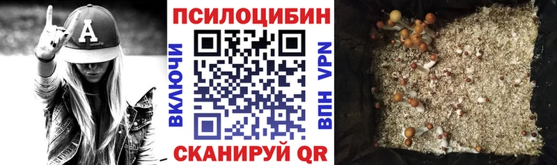 Галлюциногенные грибы MAGIC MUSHROOMS Емва